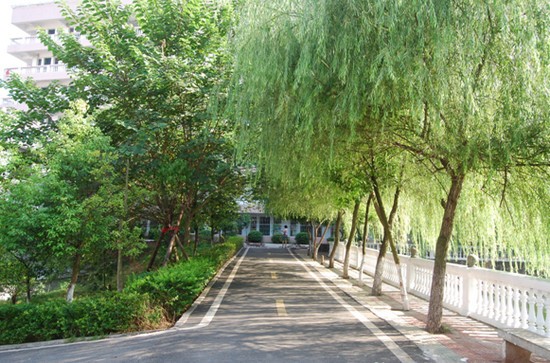 湖南交通工程学院招生简介及招生计划要求