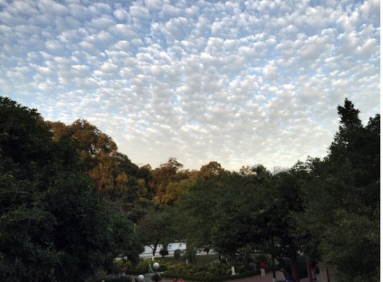 黄埔卫生职业技术学校有哪些专业及什么专业好