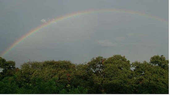 黄埔卫生职业技术学校招生录取分数线