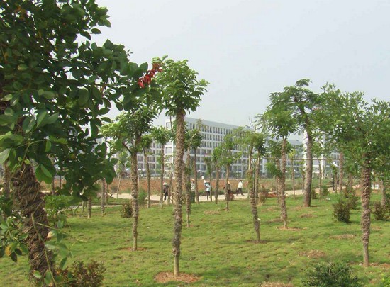 北海市卫生学校寝室宿舍条件与学校食堂环境图片