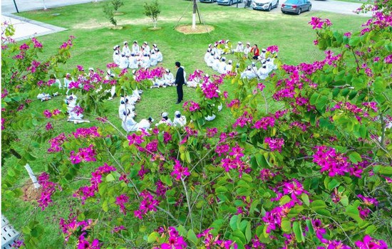 河源市卫生学校招生简介及招生计划要求