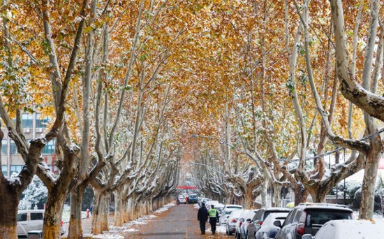 西安交通大学医学院招生录取分数线