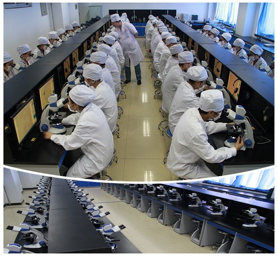 甘肃卫生职业学院报名时间及报名方式