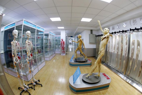 西安外事学院医学院寝室宿舍条件与学校食堂环境图片