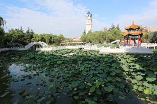 西安外事学院医学院有哪些专业及什么专业好