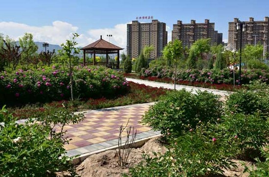 临夏现代职业学院有哪些专业及什么专业好