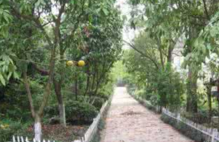 2025年四川省红十字卫校怎么样