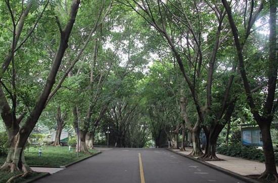 2025年重庆市知行卫校怎么样