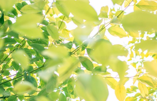 2025年重庆市渝西卫校怎么样