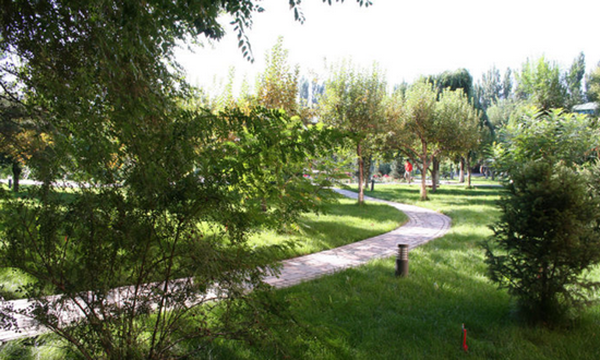 新疆医科大学有哪些专业及什么专业好