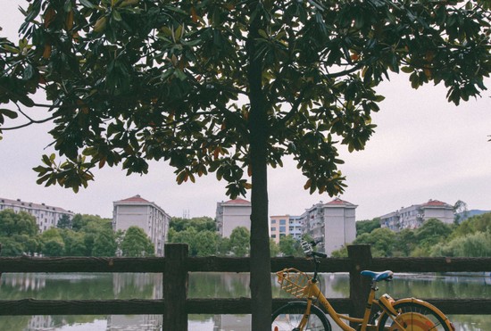 2025年重庆市医药学校怎么样