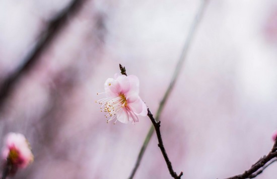 2025年重庆市万州卫生学校怎么样