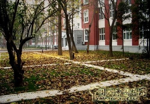 2025年北大医学部护理专业怎么样