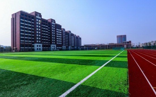 2025年上海医学院卫生学校怎么样