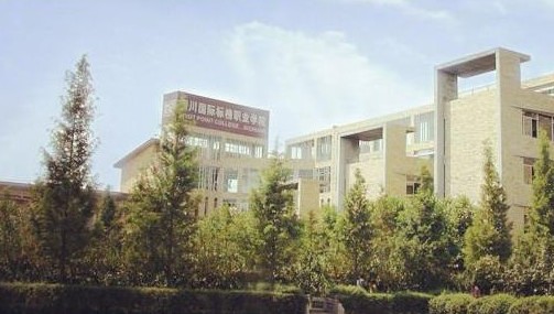 2025年四川省国际标榜学院卫生学校怎么样
