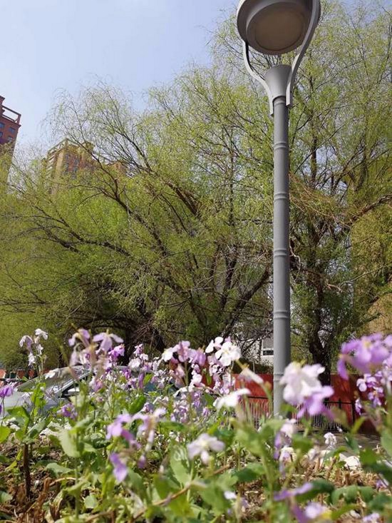 2025年辽宁省辽阳中医药卫生学校怎么样