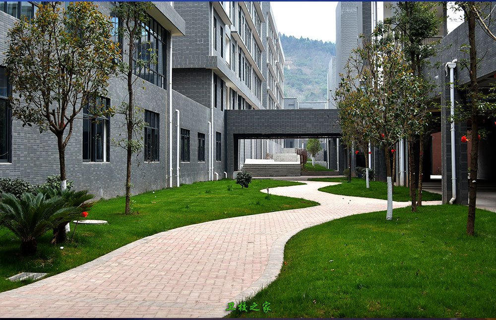 四川科技职业学院2025年招生简介