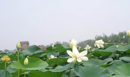 ★四川康复治疗专业哪所学校好