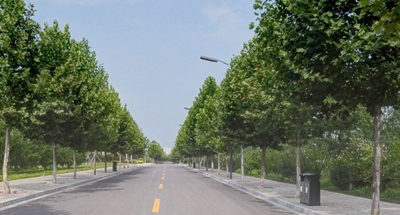 ★四川省阿坝卫生学校2025招生录取分数线