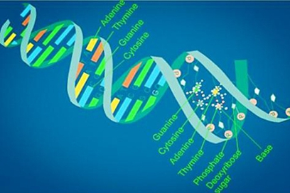 女生学什么好 女生学什么好