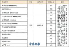 重庆市华为技工学校？