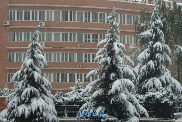 雪景