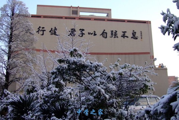 雪景