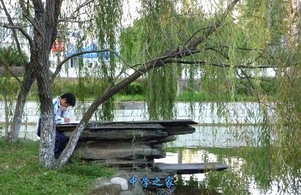 学生在学习