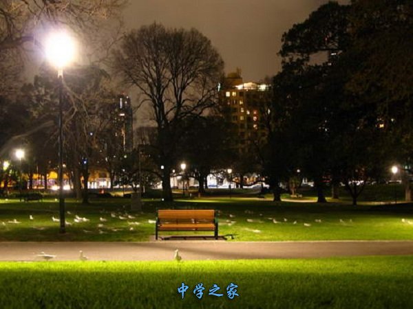 四川省彝文学校夜景