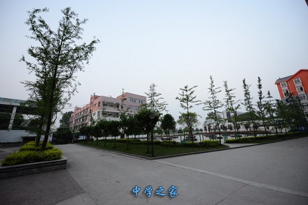 学校一景