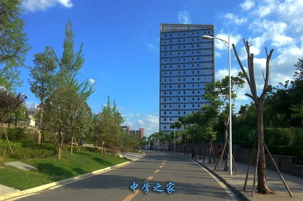 校园一景