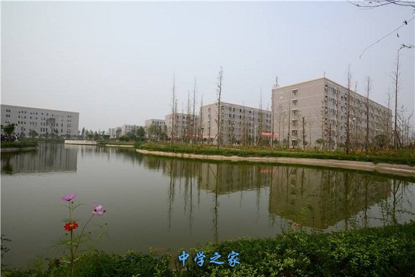 学校一景