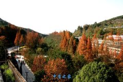 达州百岛湖职业技术学校