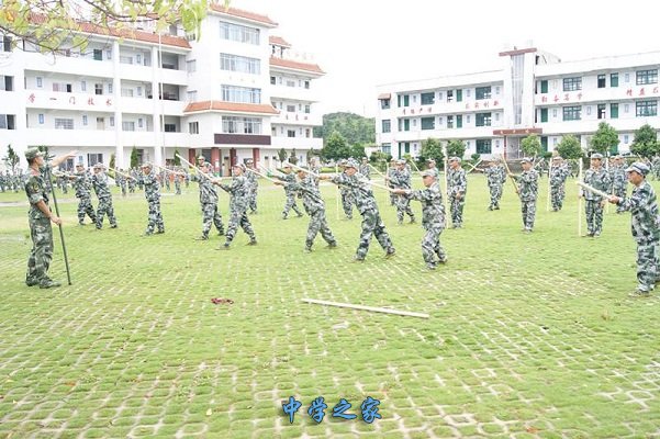 在学校培训