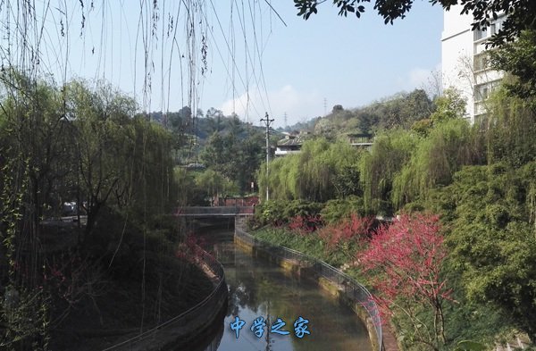 重庆能源技师学院