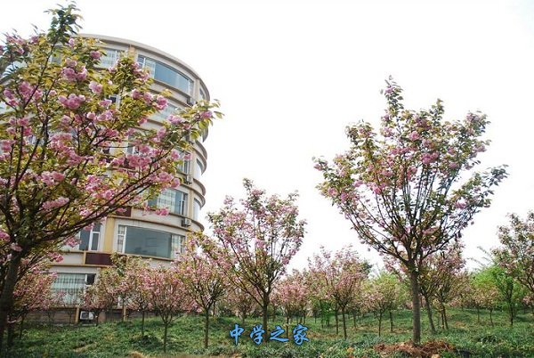 重庆交通职业学院