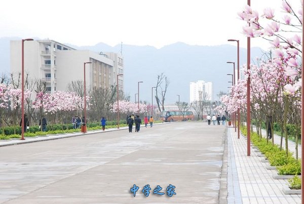 重庆交通职业学院