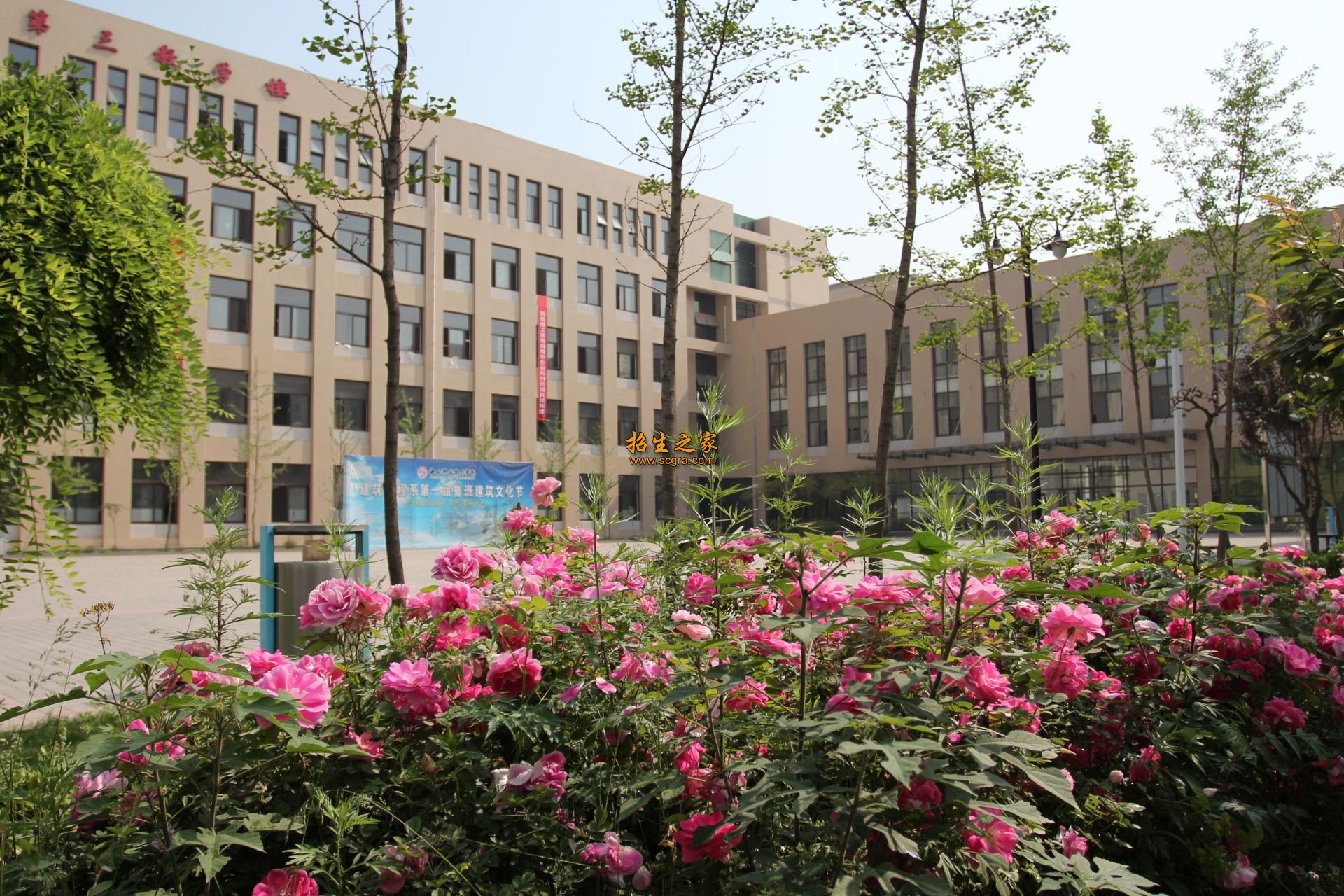 top3:渭南职业技术学院